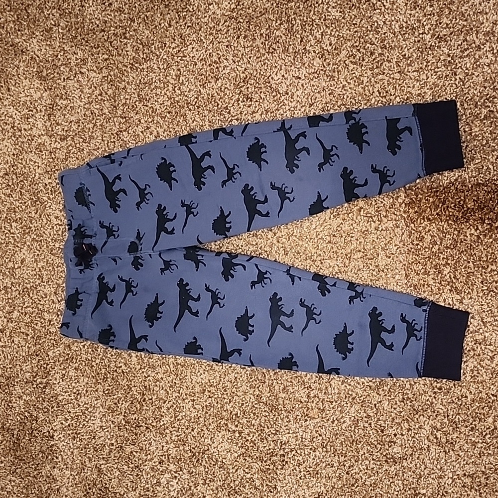 Gymboree Boys dinosaur sweatpants small